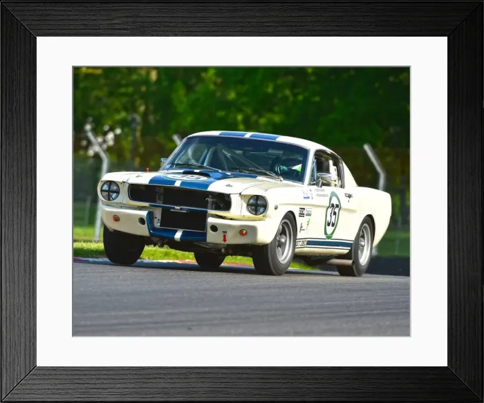 Framed Print : CM19 4969 Kevin Hancock, Leigh Smart, Shelby American Ford Mustang GT350 Framed Print : CM19 4969 Kevin Hancock, Leigh Smart, Shelby American Ford Mustang GT350