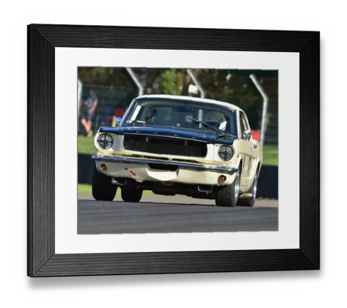 Framed Print : CM19 7720 William Shepherd, Ford Mustang Framed Print : CM19 7720 William Shepherd, Ford Mustang