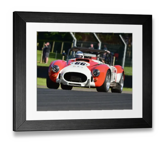 Framed Print : CM19 7726 Cheng Lim, RAM Cobra Framed Print : CM19 7726 Cheng Lim, RAM Cobra