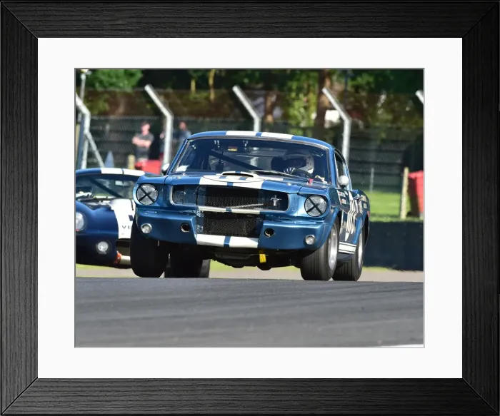 Framed Print : CM19 7750 Larry Tucker, Ford Shelby Mustang 350 GTR Framed Print : CM19 7750 Larry Tucker, Ford Shelby Mustang 350 GTR