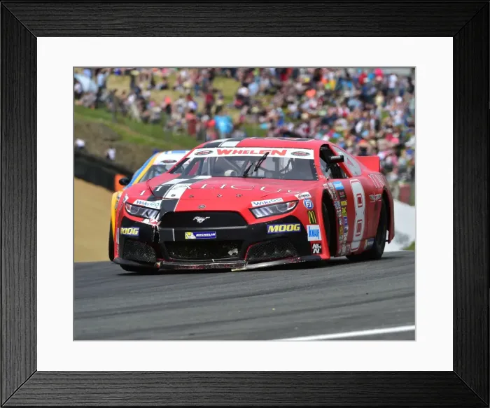 Framed Print : CM19 7108 Dario Caso, Ford Mustang Framed Print : CM19 7108 Dario Caso, Ford Mustang