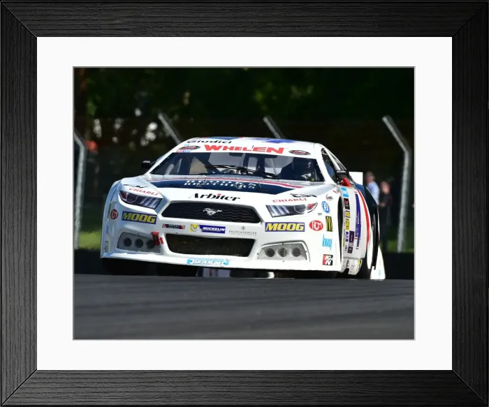 Framed Print : CM19 7481 Andrea Perlini, Ford Mustang Framed Print : CM19 7481 Andrea Perlini, Ford Mustang