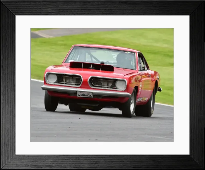 Framed Print : CM19 7339 Plymouth Barracuda Framed Print : CM19 7339 Plymouth Barracuda