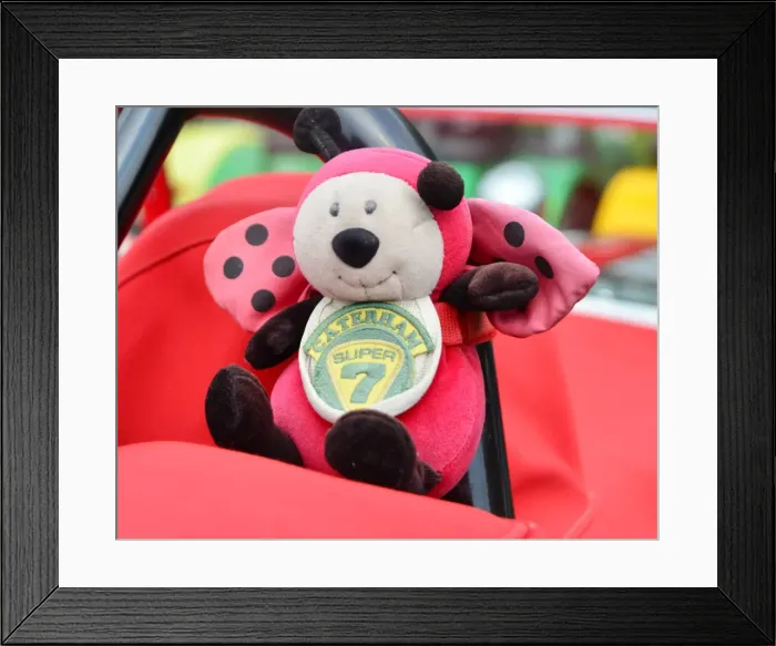 Framed Print : CJ6 9337. Lotus 7 Euro Heritage Tour, July 2017 Framed Print : CJ6 9337. Lotus 7 Euro Heritage Tour, July 2017