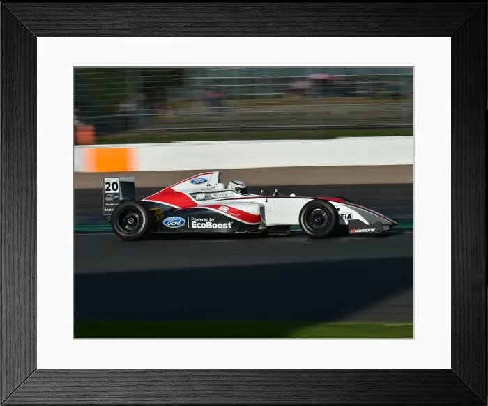 Framed Print : CM21 4341 Harry Dyson, Mygale M14-F4 Framed Print : CM21 4341 Harry Dyson, Mygale M14-F4