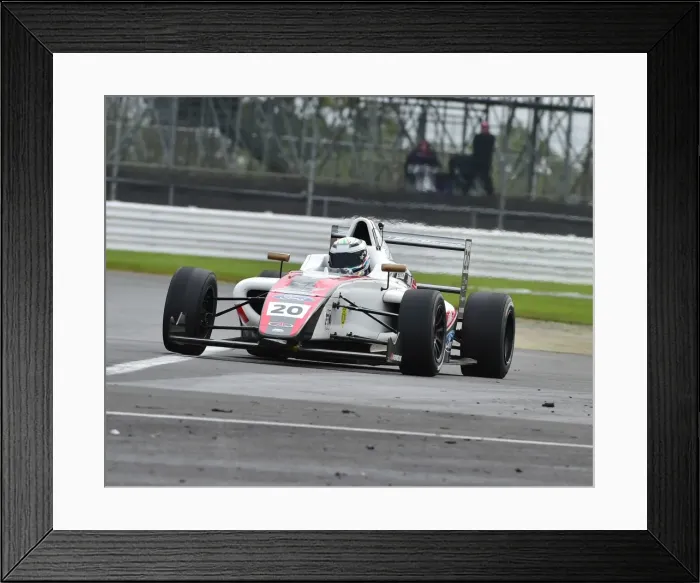 Framed Print : CM21 3087 Harry Dyson, Mygale M14-F4