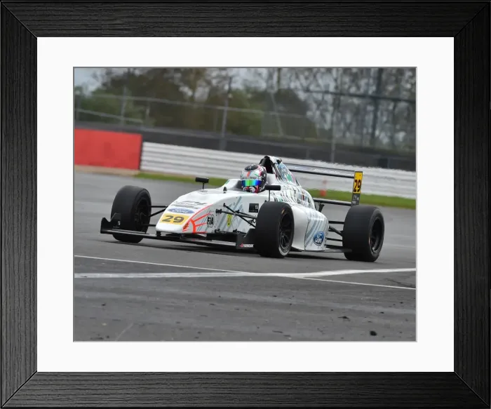 Framed Print : CM21 3082 Luca Allen, Mygale M14-F4