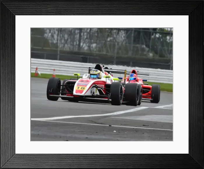 Framed Print : CM21 3079 Hampus Ericsson, Mygale M14-F4 Framed Print : CM21 3079 Hampus Ericsson, Mygale M14-F4