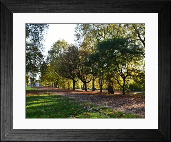 Framed Print : CM21 8092 Hyde Park, London Framed Print : CM21 8092 Hyde Park, London