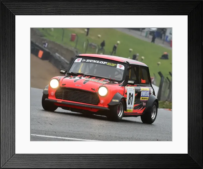 Framed Print : CM22 0473 Alfie Brown, Mini Miglia Framed Print : CM22 0473 Alfie Brown, Mini Miglia