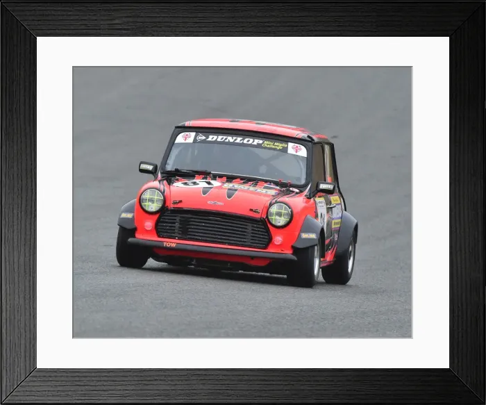 Framed Print : CM22 0402 Alfie Brown, Mini Miglia Framed Print : CM22 0402 Alfie Brown, Mini Miglia