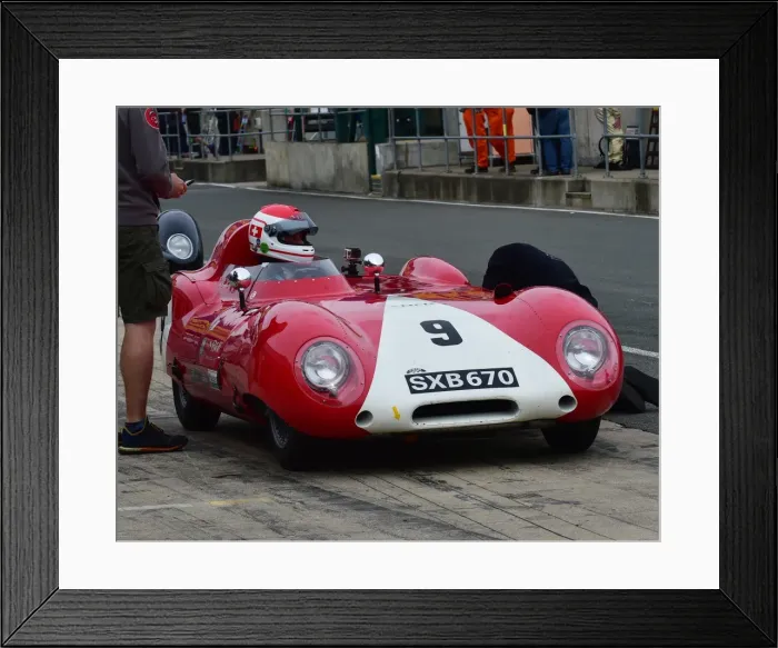 Framed Print : CM20 3921 Serge Kriknoff, Lotus XI Series 1 Framed Print : CM20 3921 Serge Kriknoff, Lotus XI Series 1
