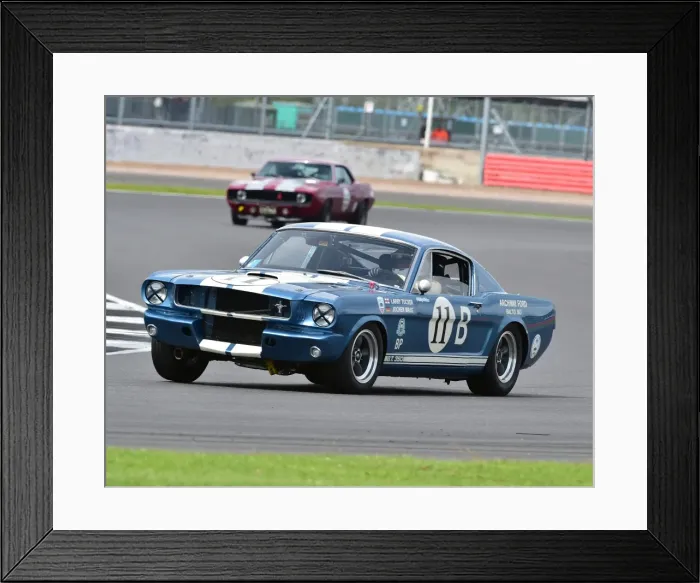 Framed Print : CM19 3148 Larry Tucker, Shelby Mustang GT350 Framed Print : CM19 3148 Larry Tucker, Shelby Mustang GT350
