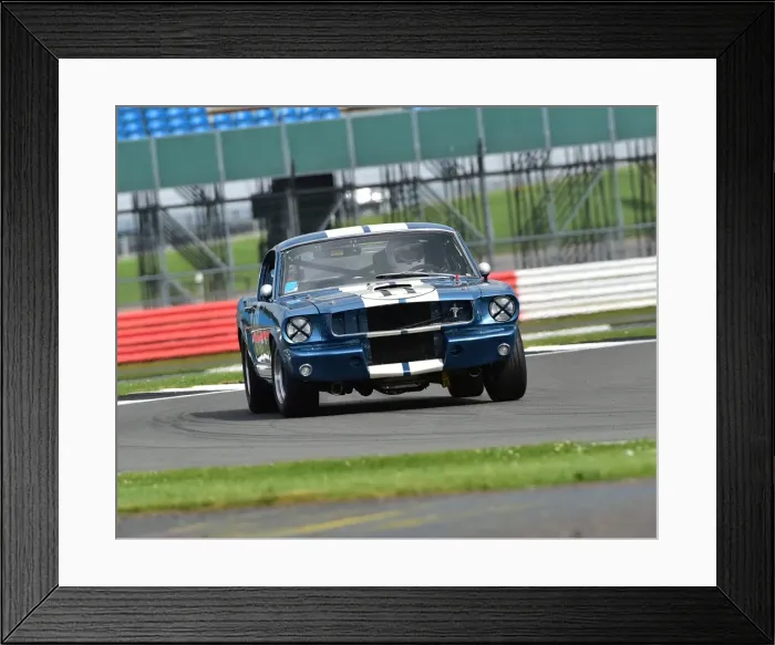 Framed Print : CM19 2535 Larry Tucker, Shelby Mustang GT350 Framed Print : CM19 2535 Larry Tucker, Shelby Mustang GT350