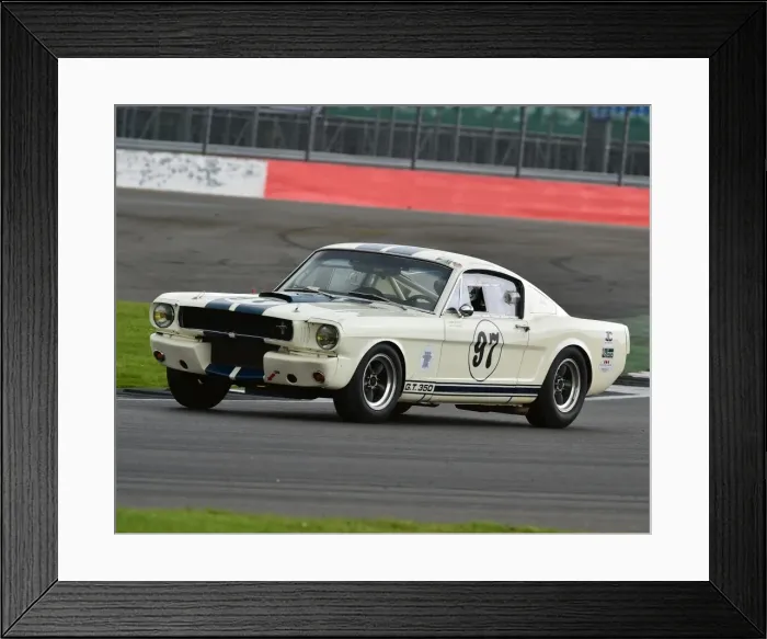Framed Print : CM19 2712 Nick Sleep, Shelby Mustang GT350 Framed Print : CM19 2712 Nick Sleep, Shelby Mustang GT350