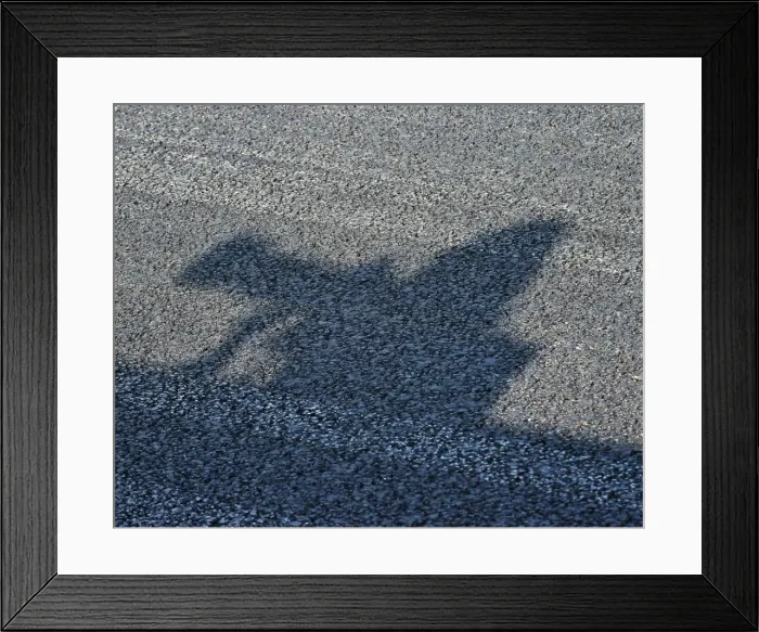 Framed Print : CM22 3659 Photographers shadow