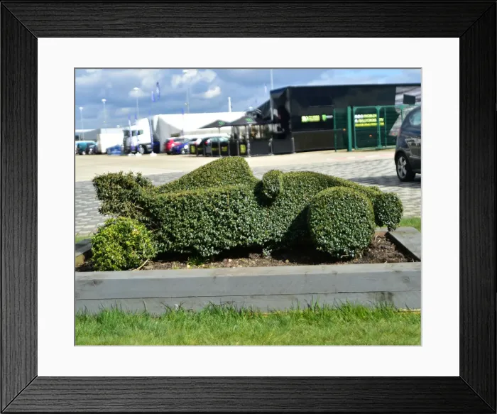 Framed Print : CM22 7846 Racing car topiary Framed Print : CM22 7846 Racing car topiary