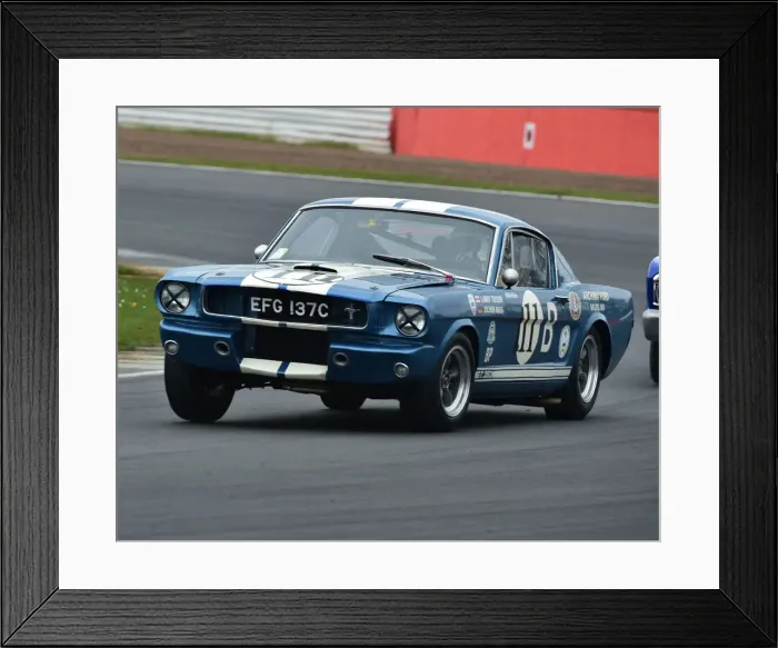Framed Print : CM22 9203 Larry Tucker, Ford Mustang GT350R Framed Print : CM22 9203 Larry Tucker, Ford Mustang GT350R