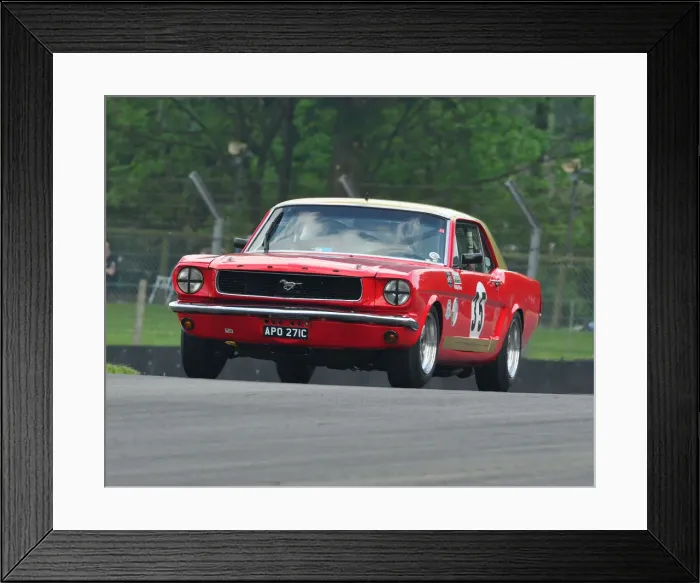 Framed Print : CJ7 3101 Mark Burton, Ford Mustang Framed Print : CJ7 3101 Mark Burton, Ford Mustang