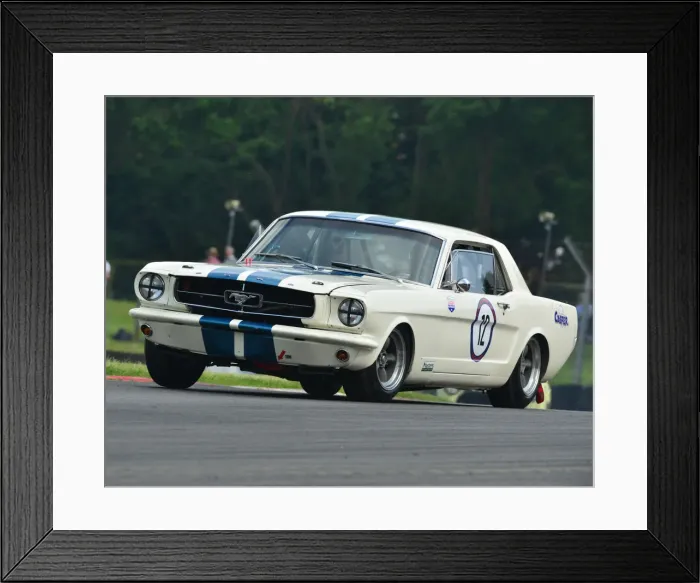 Framed Print : CJ7 3084 Greg Thornton, Ford Mustang Framed Print : CJ7 3084 Greg Thornton, Ford Mustang