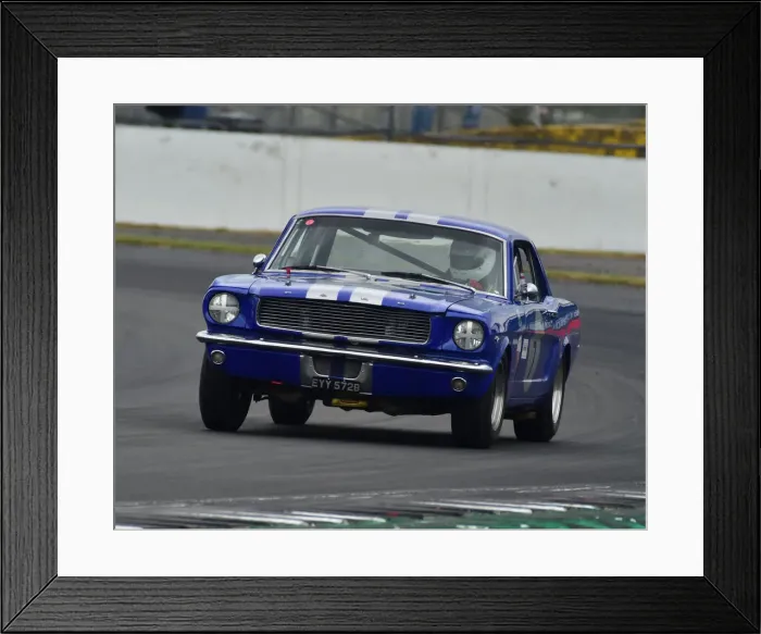 Framed Print : CM24 0963 Michael Squire, Richard Squire, Shelby Mustang Framed Print : CM24 0963 Michael Squire, Richard Squire, Shelby Mustang