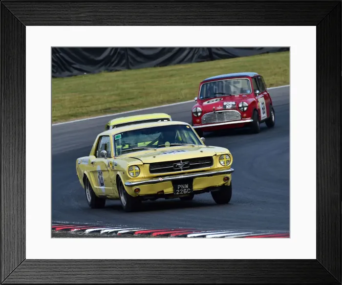 Framed Print : CM24 3468 Alex Thistlewayte, Ford Mustang Framed Print : CM24 3468 Alex Thistlewayte, Ford Mustang