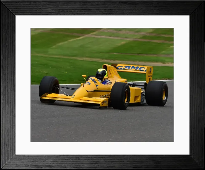 Framed Print : CM25 3466 Andrew Morris, Lotus 102 Framed Print : CM25 3466 Andrew Morris, Lotus 102