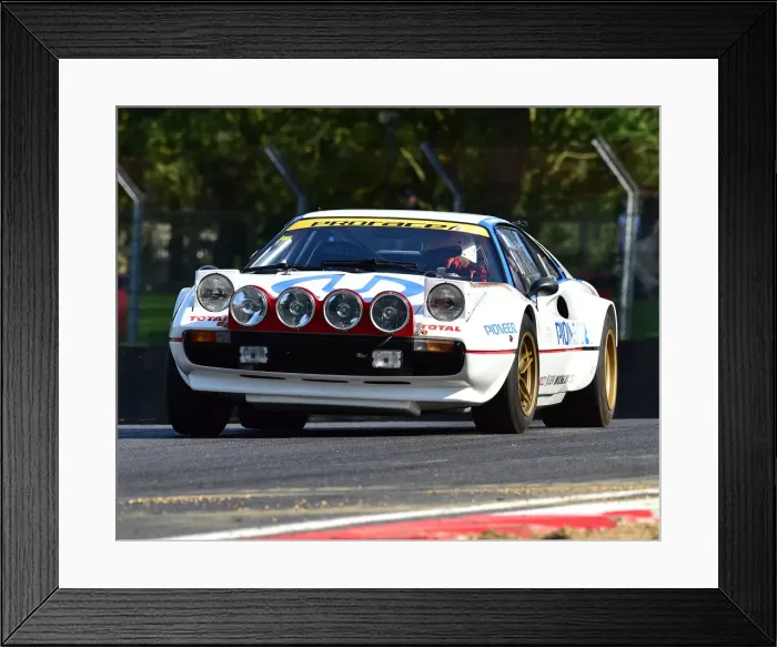Framed Print : CM25 4144 Ferrari 308 Michelotto Gr 4 Framed Print : CM25 4144 Ferrari 308 Michelotto Gr 4