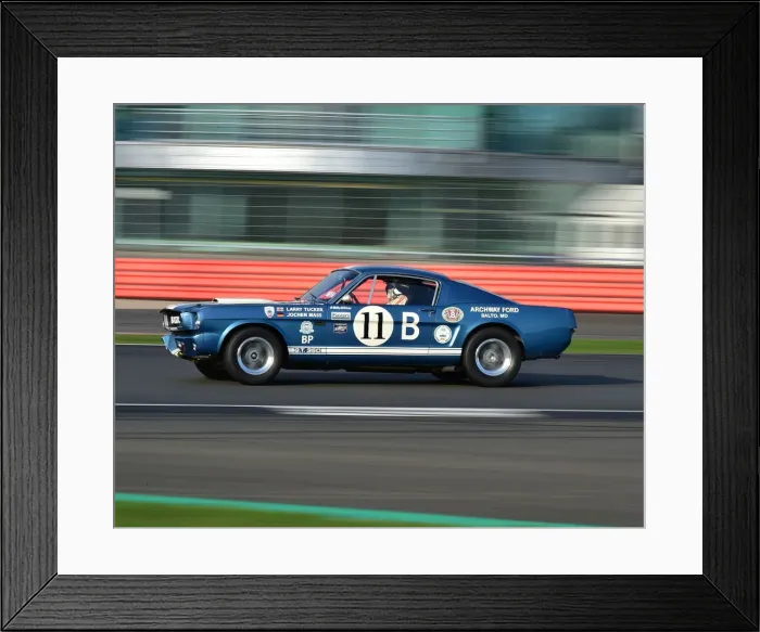 Framed Print : CM26 1099 Larry Tucker, Shelby Mustang GT350R Framed Print : CM26 1099 Larry Tucker, Shelby Mustang GT350R
