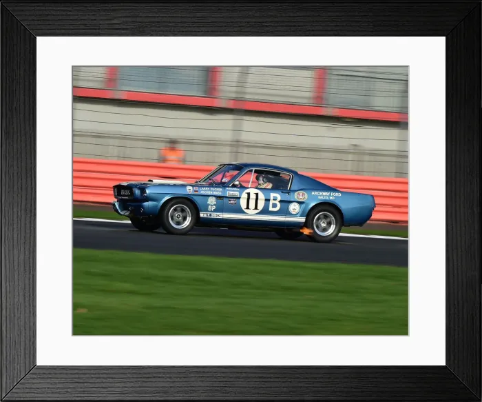 Framed Print : CM26 1003 Larry Tucker, Shelby Mustang GT350R Framed Print : CM26 1003 Larry Tucker, Shelby Mustang GT350R