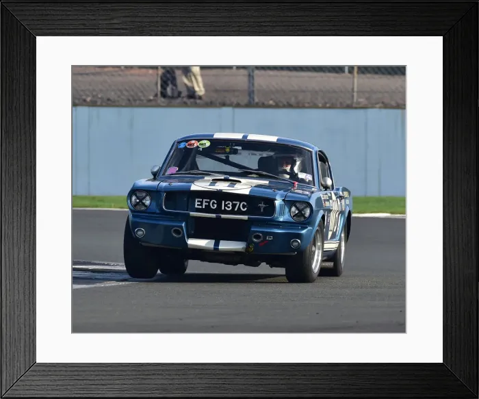 Framed Print : CM26 0212 Larry Tucker, Shelby Mustang GT350R Framed Print : CM26 0212 Larry Tucker, Shelby Mustang GT350R