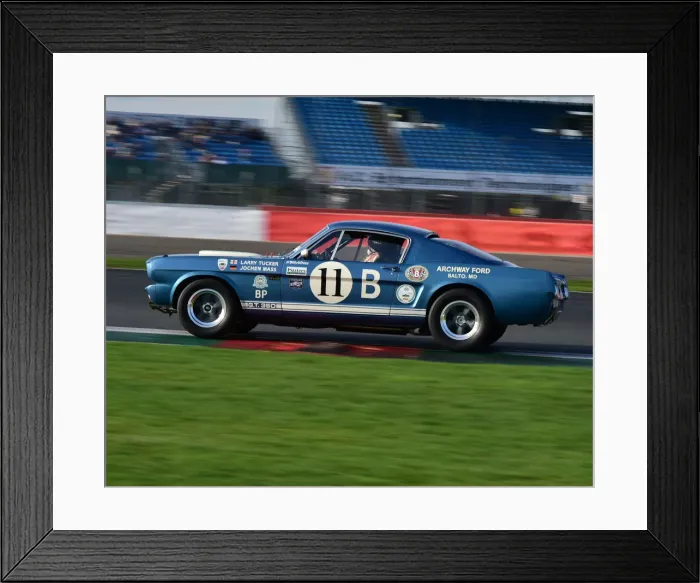 Framed Print : CM26 0984 Larry Tucker, Shelby Mustang GT350R Framed Print : CM26 0984 Larry Tucker, Shelby Mustang GT350R