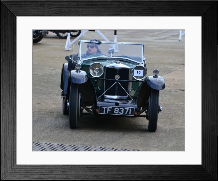 Framed Print : CJ7 7082 Peter Donovan, Riley 9 Gamecock Framed Print : CJ7 7082 Peter Donovan, Riley 9 Gamecock