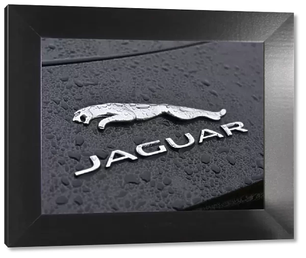 CJ7 7108 Jaguar F-Type