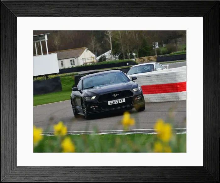 Framed Print : CJ7 7368 Ford Mustang Framed Print : CJ7 7368 Ford Mustang