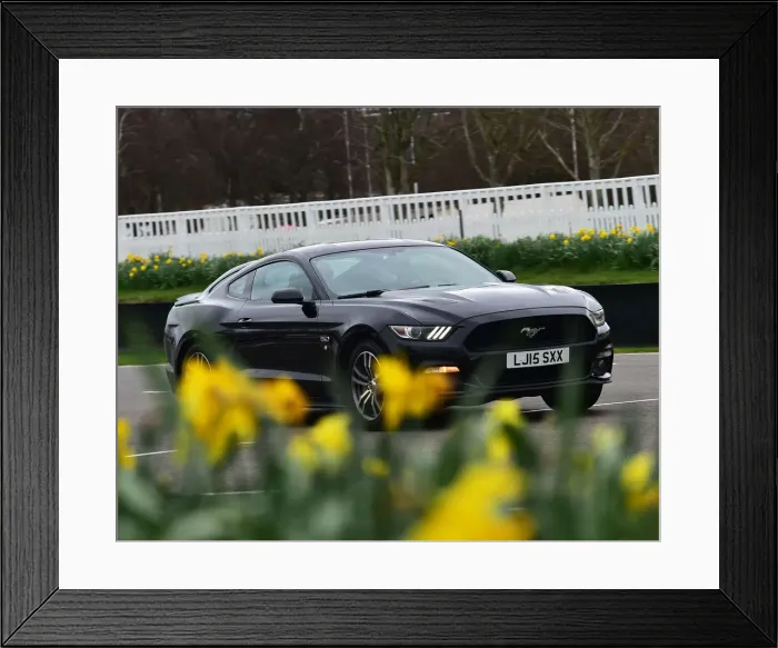 Framed Print : CM26 8792 Martin Overington, Ford Mustang Framed Print : CM26 8792 Martin Overington, Ford Mustang