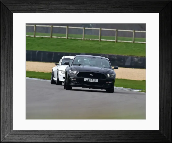 Framed Print : CM26 8449 Martin Overington, Ford Mustang Framed Print : CM26 8449 Martin Overington, Ford Mustang