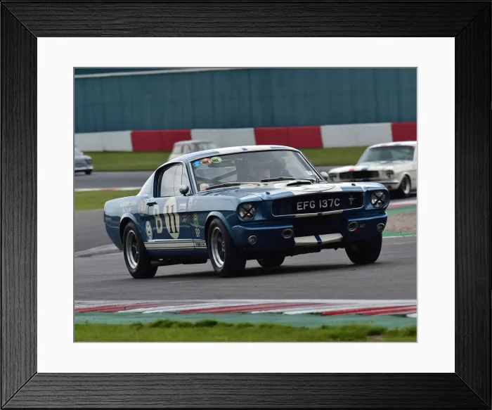 Framed Print : CM27 8667 Larry Tucker, Ford Shelby Mustang Framed Print : CM27 8667 Larry Tucker, Ford Shelby Mustang