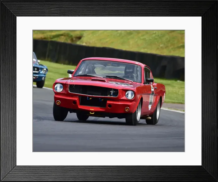 Framed Print : CM28 0119 Alasdair Coates, Ford Shelby Mustang GT350 Framed Print : CM28 0119 Alasdair Coates, Ford Shelby Mustang GT350