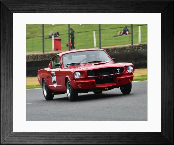 Framed Print : CM27 9078 Alasdair Coates, Ford Shelby Mustang GT350 Framed Print : CM27 9078 Alasdair Coates, Ford Shelby Mustang GT350