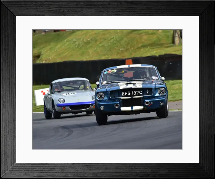 Framed Print : CM28 0120 Larry Tucker, Simon Butler, Ford Shelby Mustang GT350 Framed Print : CM28 0120 Larry Tucker, Simon Butler, Ford Shelby Mustang GT350