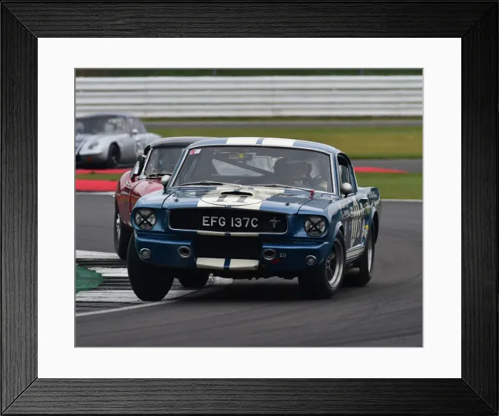 Framed Print : CM29 3255 Larry Tucker, Ford Shelby Mustang GT350 Framed Print : CM29 3255 Larry Tucker, Ford Shelby Mustang GT350