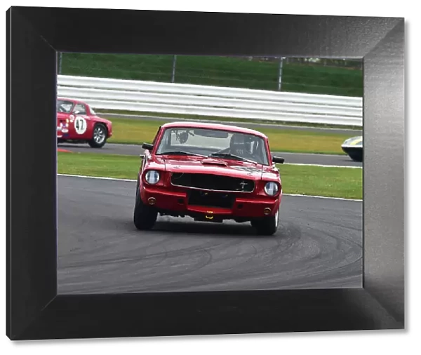 CM29 3202 Alasdair Coates, Ford Shelby Mustang GT350
