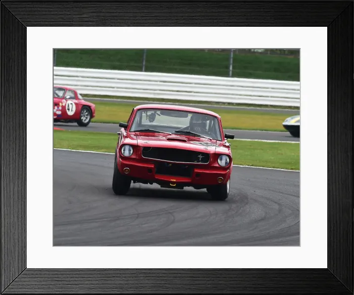 Framed Print : CM29 3202 Alasdair Coates, Ford Shelby Mustang GT350 Framed Print : CM29 3202 Alasdair Coates, Ford Shelby Mustang GT350