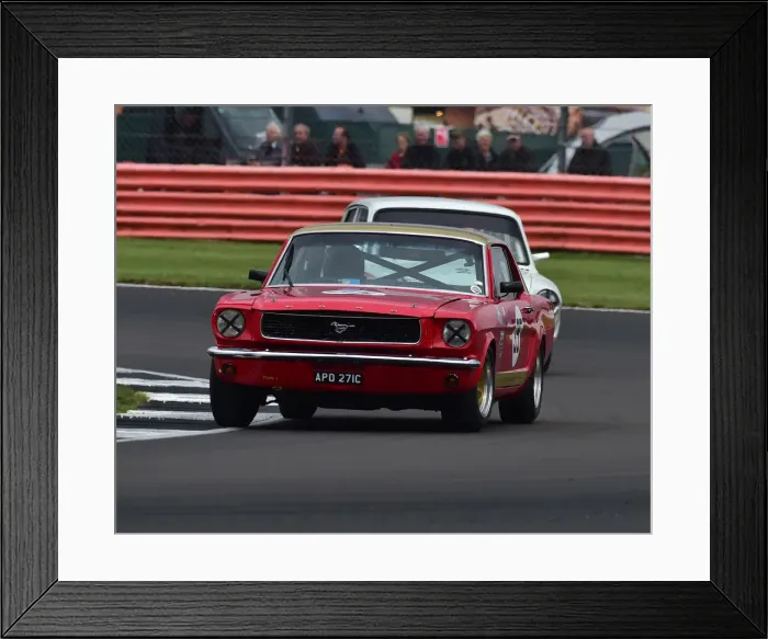 Framed Print : CM29 1591 Mark Burton, Ford Mustang Framed Print : CM29 1591 Mark Burton, Ford Mustang