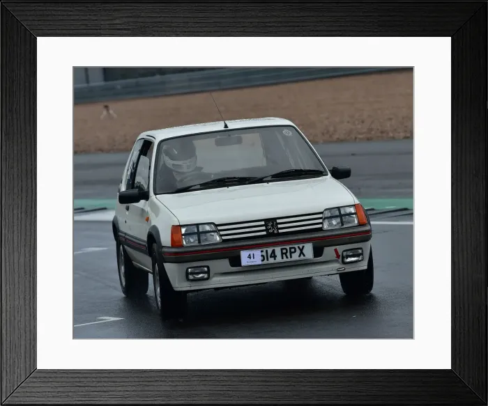 Framed Print : CM30 1121 Michael Grant Peterkin, Peugeot 205 GTi Framed Print : CM30 1121 Michael Grant Peterkin, Peugeot 205 GTi