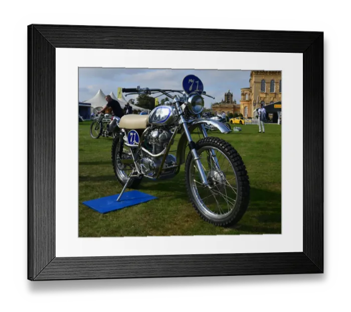 Framed Print : CJ8 3751 Ducati Desert Racer Framed Print : CJ8 3751 Ducati Desert Racer