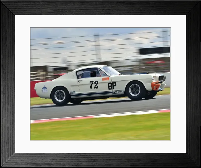 Framed Print : CM31 1459 Nick Sleep, Alex Montgomery, Joel Wykeham, Ford Shelby Mustang Framed Print : CM31 1459 Nick Sleep, Alex Montgomery, Joel Wykeham, Ford Shelby Mustang