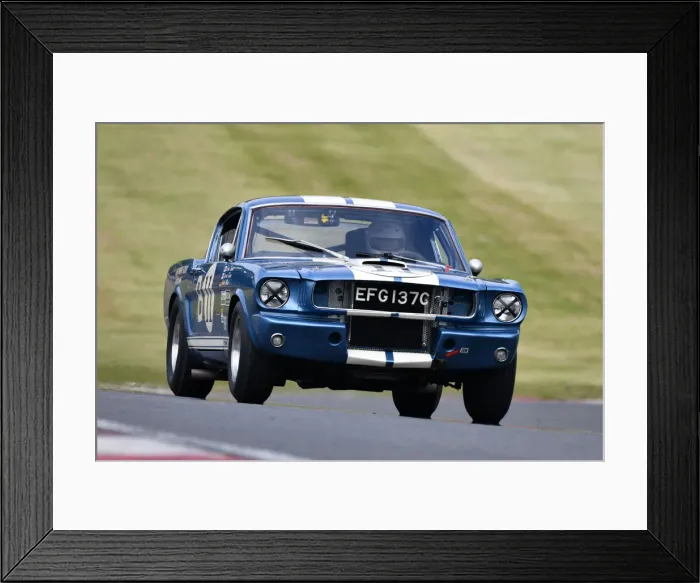 Framed Print : CJM-P 1089 Larry Tucker, Laurie Tucker, Ford Shelby Mustang GT350 Framed Print : CJM-P 1089 Larry Tucker, Laurie Tucker, Ford Shelby Mustang GT350