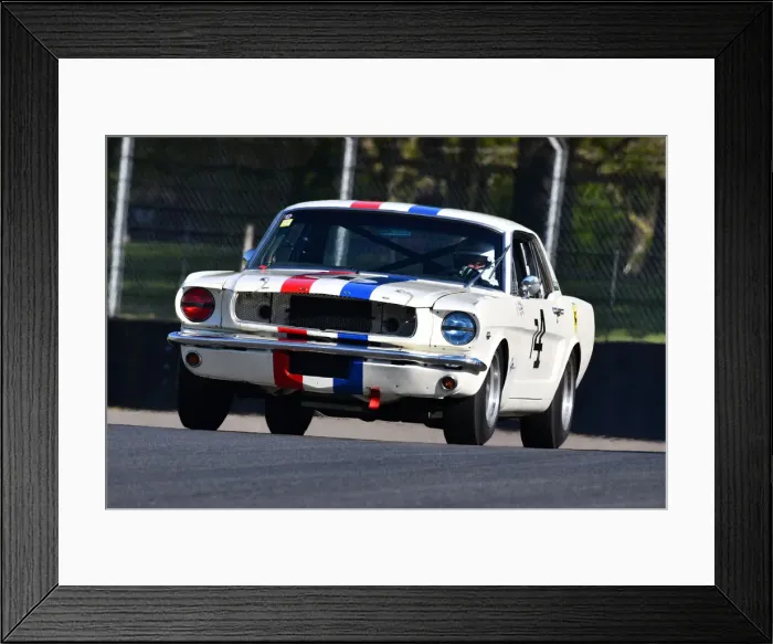 Framed Print : CJM-P 1596 David Coyne, Ford Mustang Framed Print : CJM-P 1596 David Coyne, Ford Mustang